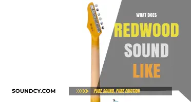 The Unique Sonic Qualities of Redwood: A Deep Dive