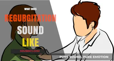 Understanding Regurgitation Sounds: What to Listen For and Why