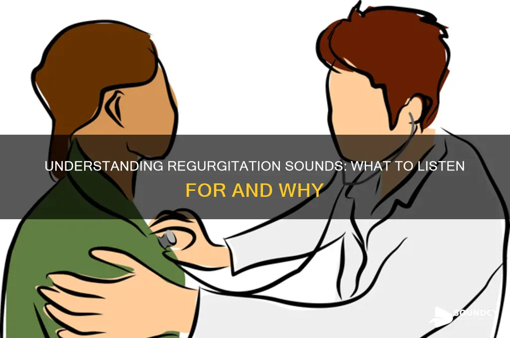 what does regurgitation sound like