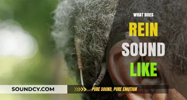 What Does Rein Sound Like? Exploring the Unique Auditory Experience