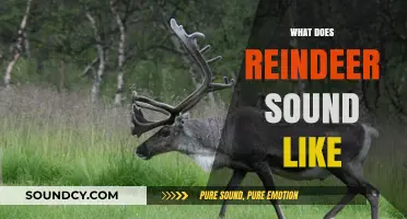 Discover the Unique Vocalizations: What Does a Reindeer Sound Like?