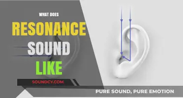 Exploring the Vibrant, Harmonious World of Resonance: What Does It Sound Like?