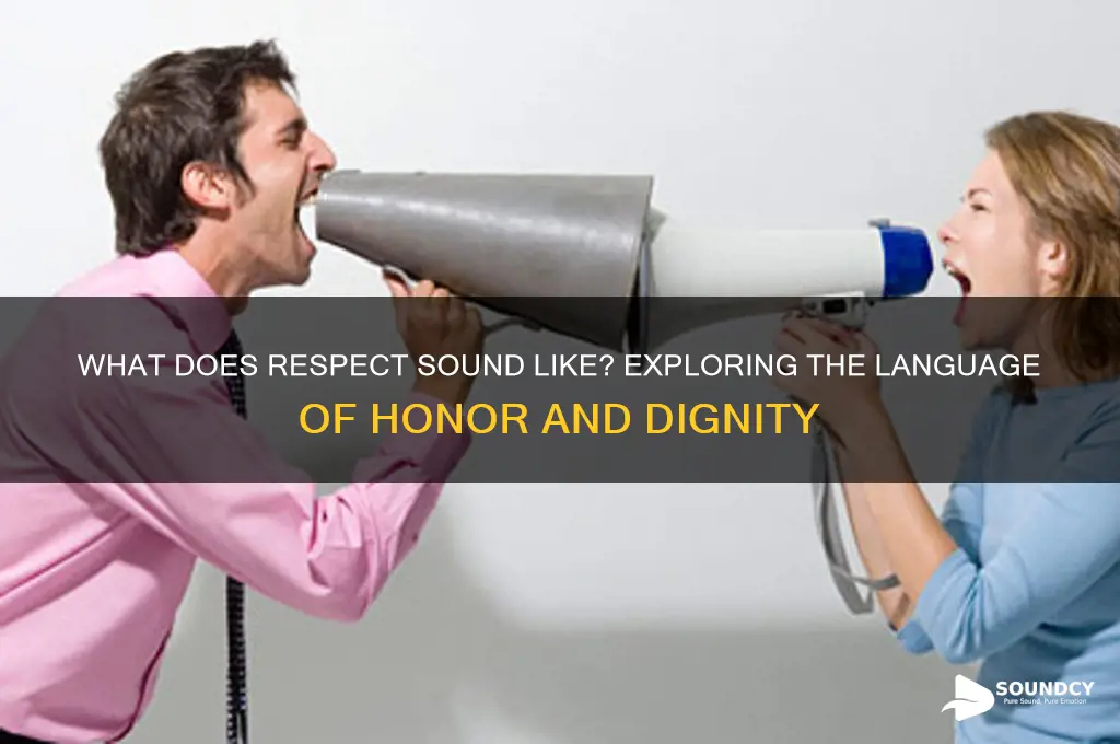what does respect sound like