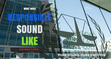What Does Responsible Sound Like: Voices of Accountability and Integrity