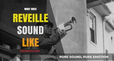 Reveille's Melody: Unveiling the Iconic Military Wake-Up Call's Sound