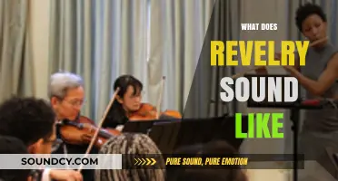The Sonic Symphony of Revelry: Unveiling the Sounds of Joyful Celebration