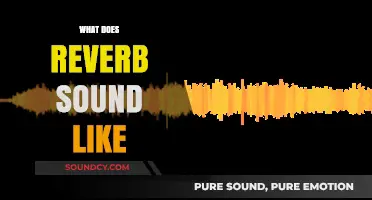 Exploring Reverb: How This Audio Effect Shapes Soundscapes and Atmospheres