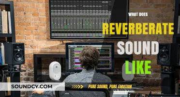 Exploring the Echo: What Does Reverberate Sound Like?