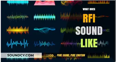 Unveiling the Unique Auditory Signature: What Does RFI Sound Like?