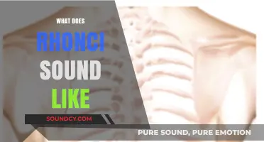 Understanding Rhonci: What Does This Respiratory Sound Actually Sound Like?
