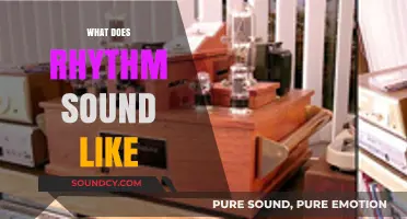 Exploring Rhythm's Pulse: Unveiling the Sonic Signature of Musical Patterns