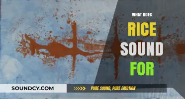 What Does Rice Sound Like? Exploring the Surprising Sounds of Grains
