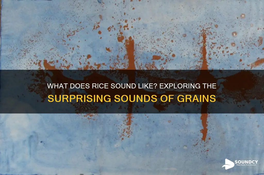 what does rice sound for
