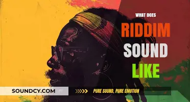 Exploring Riddim: Unveiling the Distinctive Sound and Rhythm of the Genre