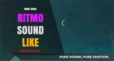 Exploring Ritmo's Unique Sound: A Blend of Rhythms and Melodies