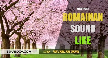 Exploring the Unique Sounds and Pronunciation of Romanian Language