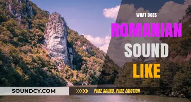 Exploring the Unique Melody and Rhythm of the Romanian Language