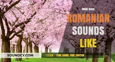 Exploring the Unique Melody and Rhythm of Romanian Language Sounds