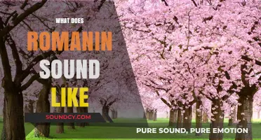 Exploring the Unique Sounds and Pronunciation of the Romanian Language