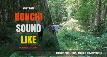 Exploring the Unique and Mystical Sounds of Ronchi in Nature