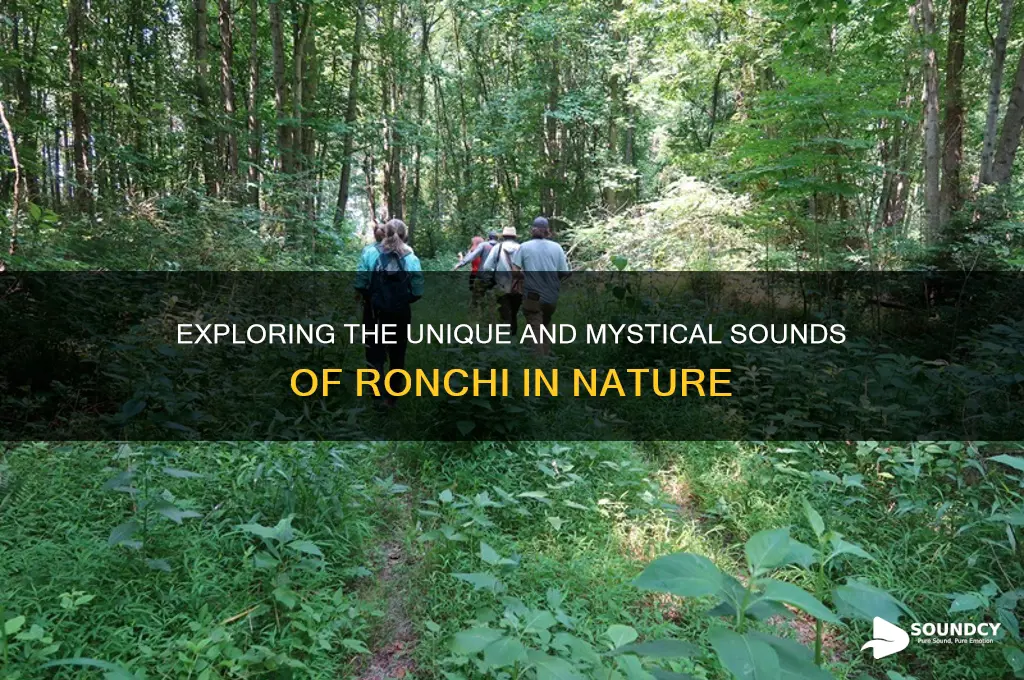 what does ronchi sound like
