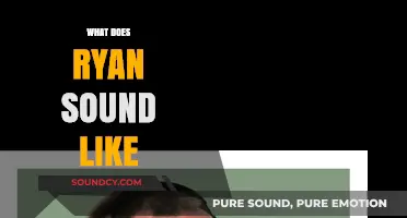 Unveiling Ryan's Voice: A Unique Sound Profile and Analysis