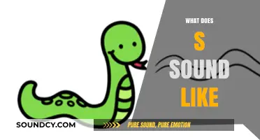 Unraveling the Sibilance: What Does the Letter S Sound Like?