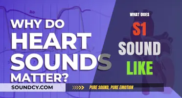 Understanding the Unique Sound of S1: A Comprehensive Auditory Guide