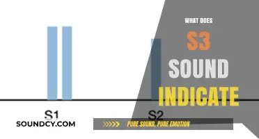 Understanding S3 Heart Sound: Causes, Significance, and Clinical Implications