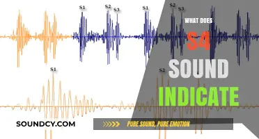 Understanding S4 Heart Sound: Causes, Symptoms, and Diagnostic Significance