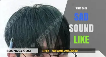 The Audible Echoes of Melancholy: Decoding What Sadness Sounds Like