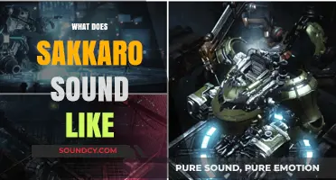Exploring the Unique Sonic Qualities of Sakkaro's Mystical Soundscapes