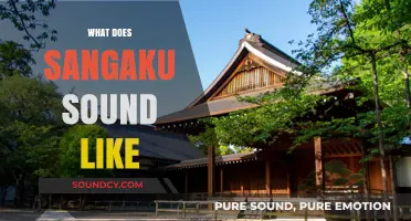Exploring the Mystical Sounds of Sangaku: A Sonic Journey