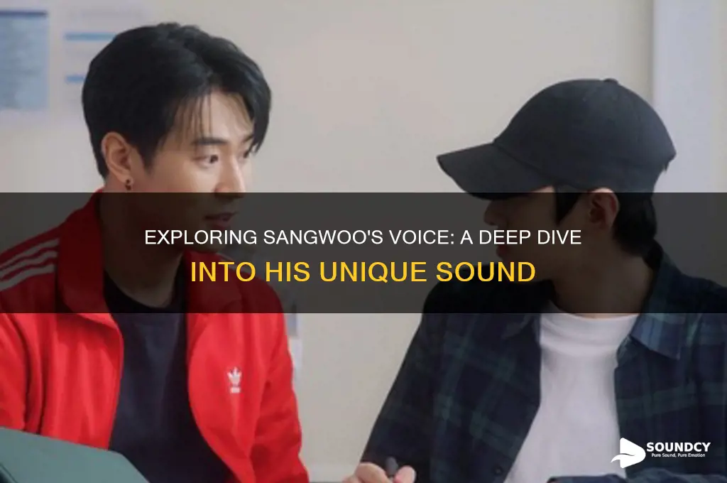 what does sangwoo sound like