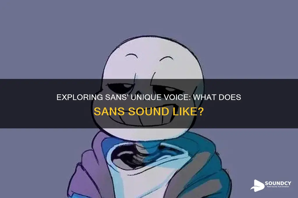 what does sans sound like