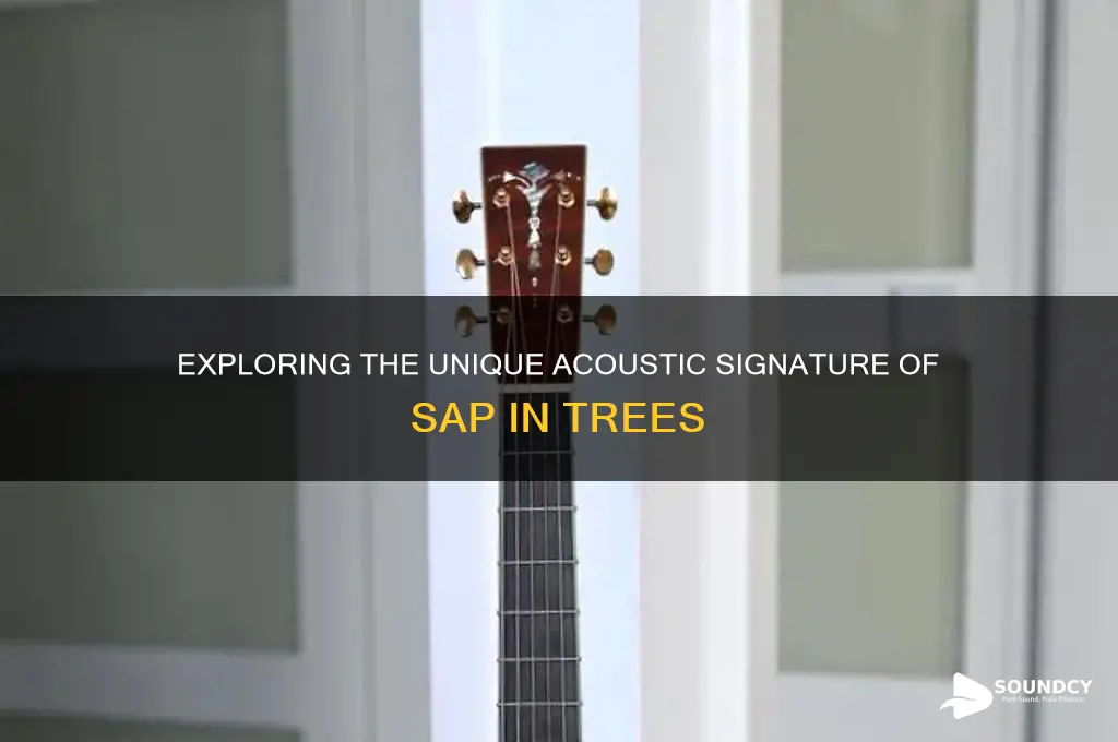 what does sap sound like