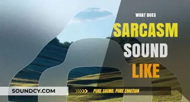Decoding Sarcasm: The Unique Tone and Cadence Behind the Wit