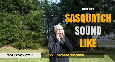 Unveiling the Mysterious Sasquatch Sounds: What Does Bigfoot Really Roar Like?