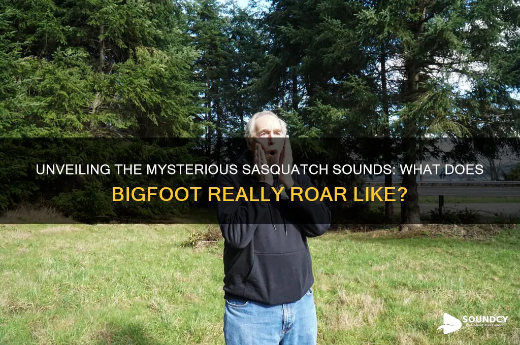 what does sasquatch sound like