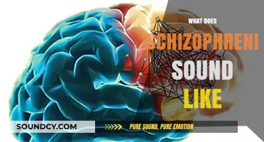 Unveiling Schizophrenia's Voice: Understanding the Auditory Experience of Psychosis