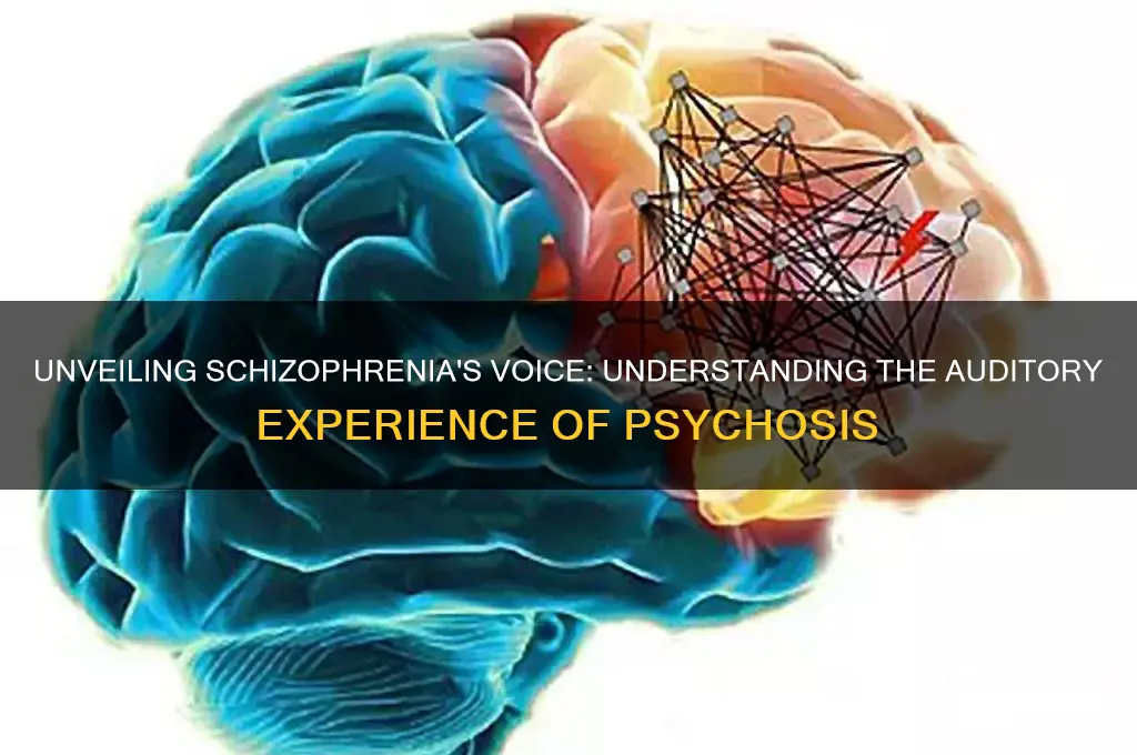 what does schizophrenia sound like