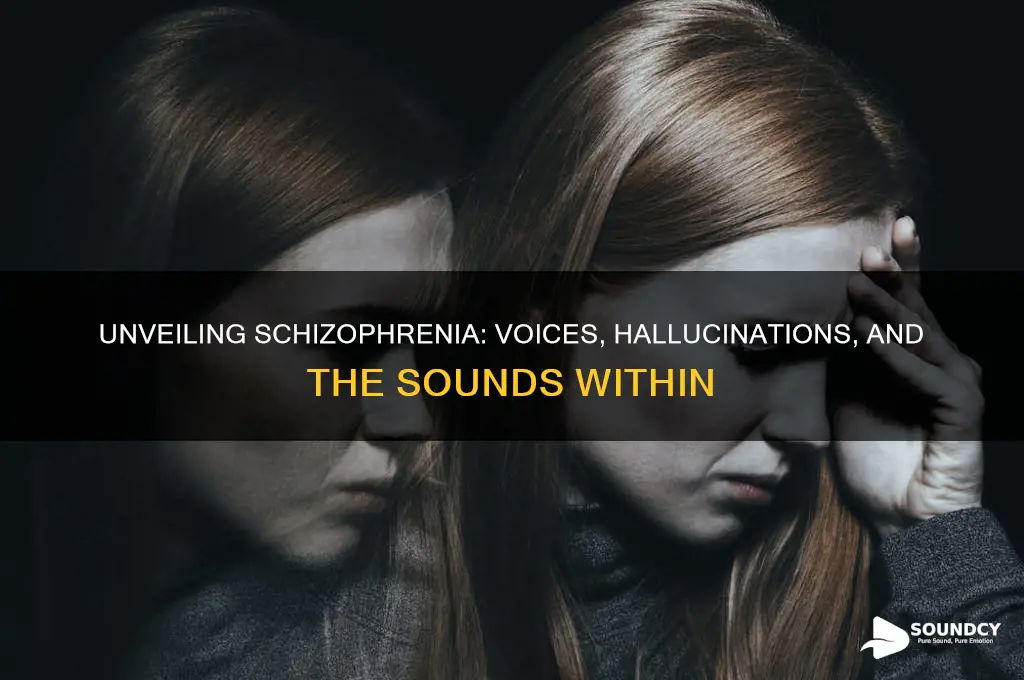 what does schizophrenia sounds like