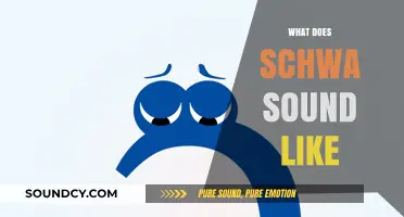 Unveiling the Elusive Schwa: What Does This Vowel Sound Like?
