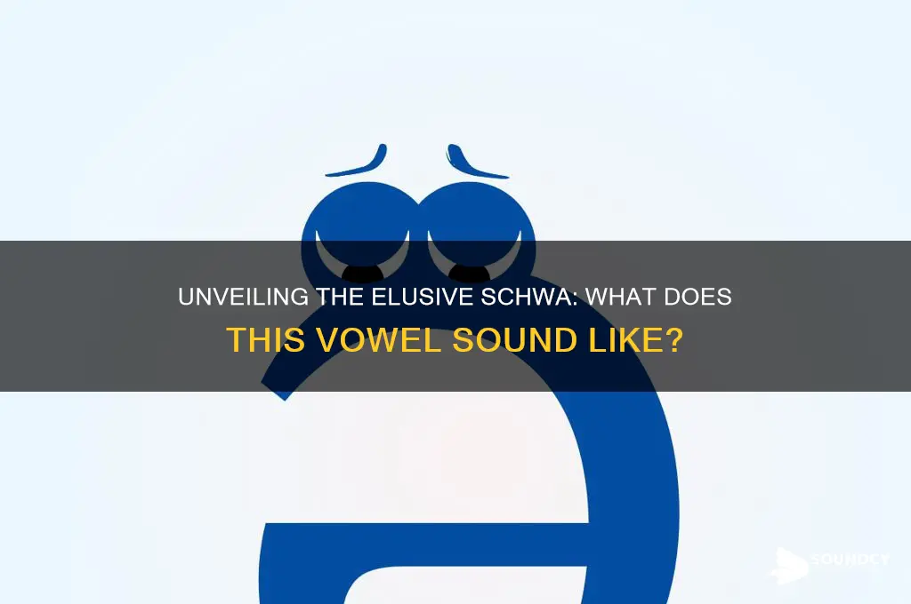 what does schwa sound like