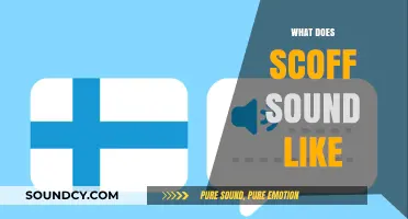 Decoding the Distinctive Sound of Scoffing: A Linguistic Exploration