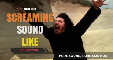 Unraveling the Raw Intensity: What Does Screaming Really Sound Like?