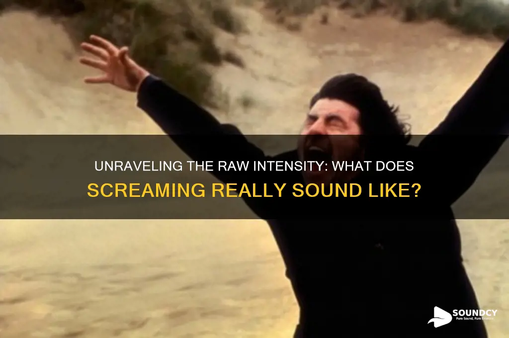 what does screaming sound like