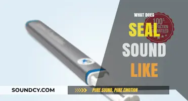 Unveiling the Unique Vocalizations: What Does a Seal Sound Like?