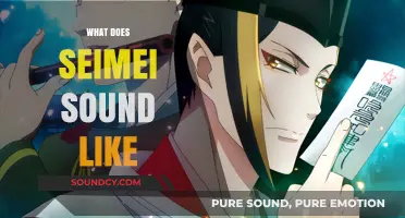 Exploring the Mystical Tone: What Does Seimei's Voice Sound Like?