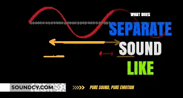 Exploring the Unique Sonic Signature of Separate: What Does It Sound Like?